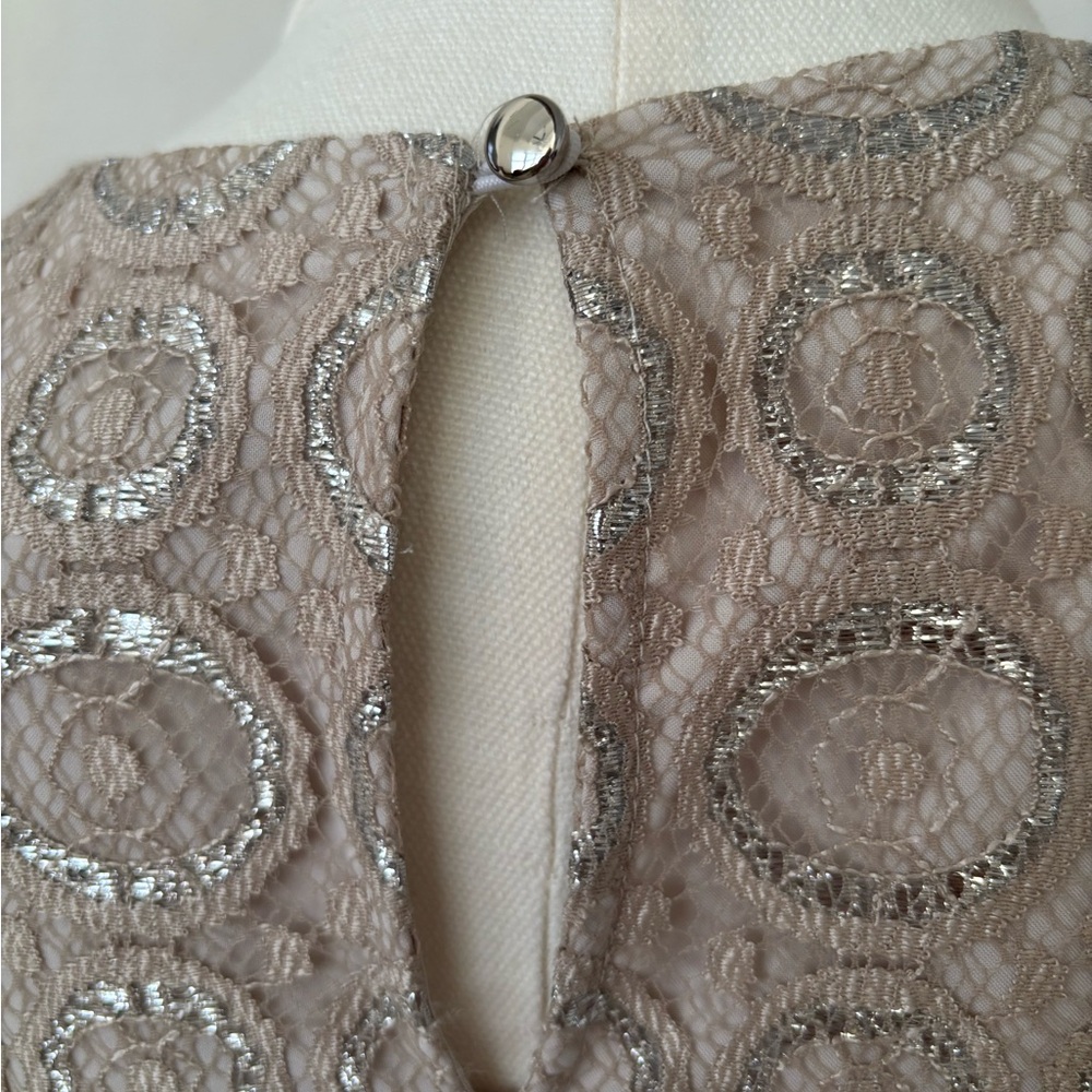 Cynthia Steffe NWT Silver Champagne Lace Cocktail Dress S:2 Formal Wedding Guest - Picture 6 of 7